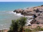 Oropesa