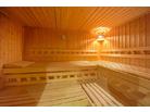 Dům Bergkristal_sauna