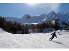 Adamello ski