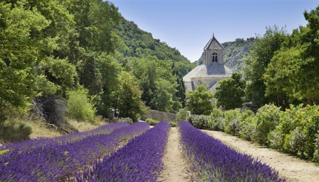 provence.jpg