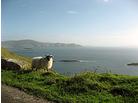Achill Island