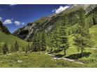 Raurisertal - léto