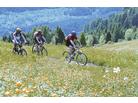 Alta Valtellina - léto