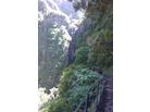 ubytování Madeira