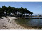 Umag