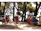 Camping Kozarica_ubytování Pakoštane