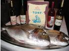 Hotel Tony_ostrov Pag