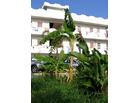 Hotel Costa Blu 1