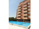 Residene Cutter