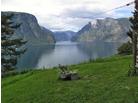 Dům Aurland