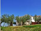 Villino del Parco Cerrano_Pineto_Abruzzo