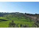 Villino del Parco Cerrano_Pineto_Abruzzo