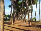 Villino del Parco Cerrano_Pineto_Abruzzo