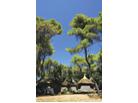 Pine Beach Club_Pakoštane