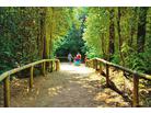Camping Village Portofelice_ubytování Eracela Mare