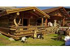 Hotel Sieglhub_ubytování Flachau