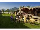 Hotel Sieglhub_ubytování Flachau