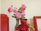 Familienhotel Sommerhof_ubytování Gossau