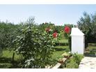 Apartmánový dům Monika_Novigrad