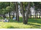 Apartmánový dům Monika_Novigrad