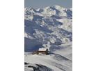 Val Thorens