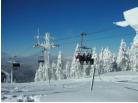 Tarvisio