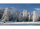 Alta Badia, Dolomiti superski 