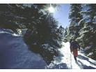 Val di Fiemme