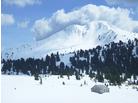 Val di Fiemme