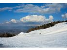 Monte Bondone_ ski funtazie club