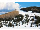 Monte Bondone_ ski funtazie club