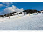 Monte Bondone_ ski funtazie club
