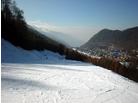 Aprica