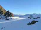 Aprica