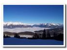 Aprica
