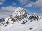 Aprica