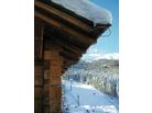 Chalet Le Betulle