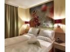 Val di Fiemme_Suite apartements Color Home_ubytován