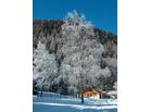 Chalet Presanella_ubytování Tonale
