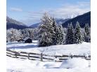 Hochpustertal - Sillian_Hotel Weitlandbrunn_ubytování
