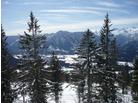 Alpenpension Altaussee_příroda