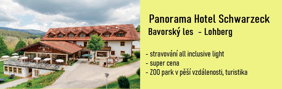 Bavorsk___les_Panorama_Hotel_Schwarzeck.jpg